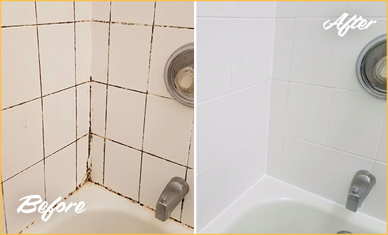 Before and After Picture of a Stockton Shower Tile and Grout Cleaned to Eliminate Mold