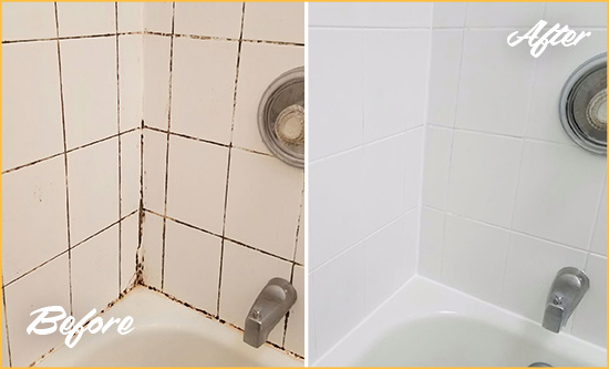 Before and After Picture of a Zarephath Shower Tile and Grout Cleaned to Eliminate Mold