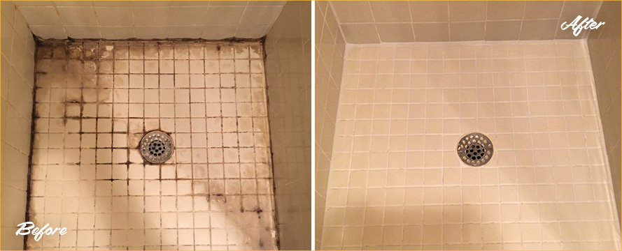 Shower Floor Restored by Our Professional Tile and Grout Cleaners in Flemington, NJ