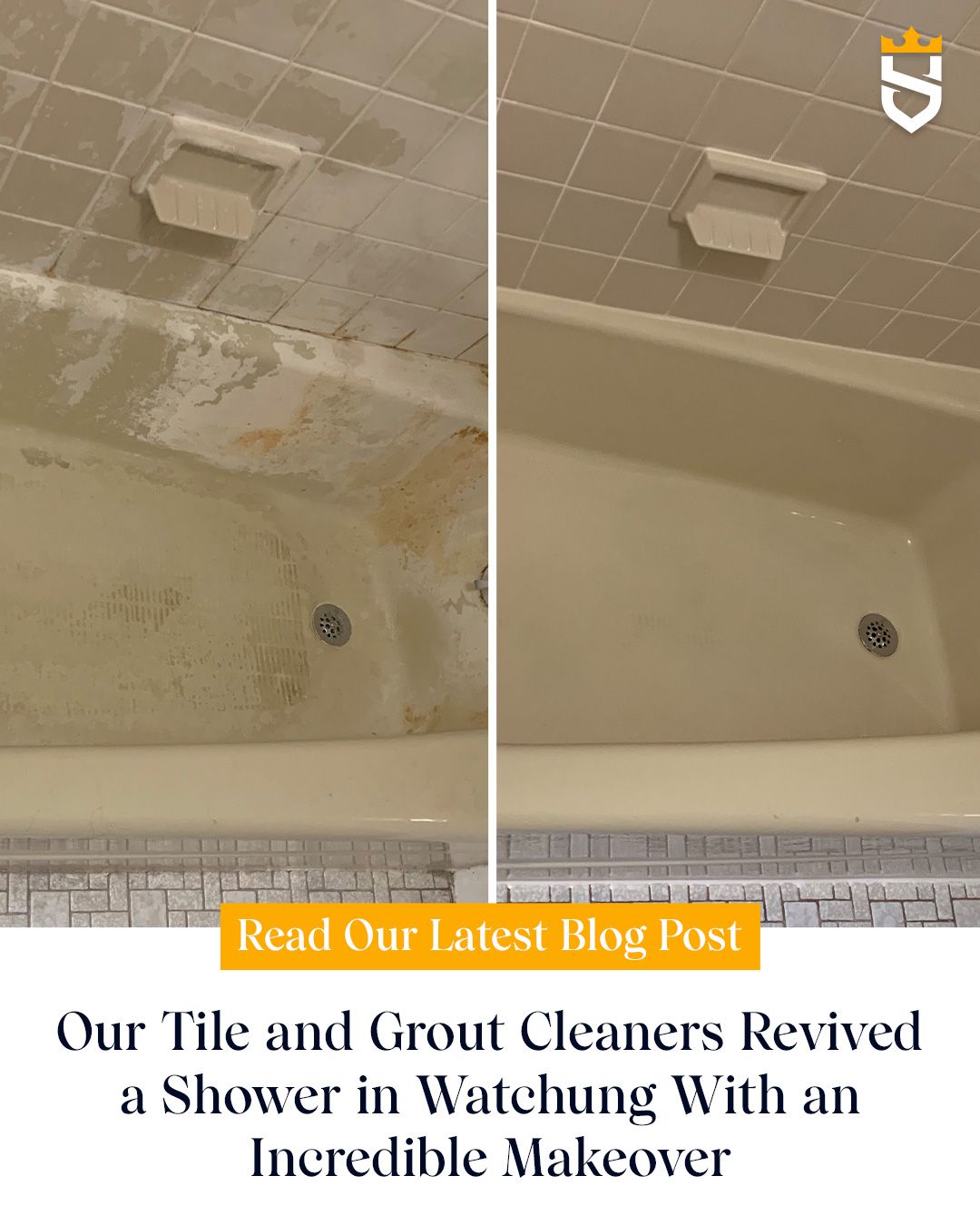 Our Tile and Grout Cleaners Revived a Shower in Watchung With an Incredible Makeover